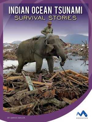 cover image of Indian Ocean Tsunami Survival Stories